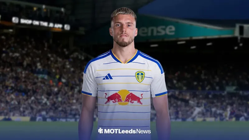 Leeds United's Demirovic Transfer: Fee & Stance