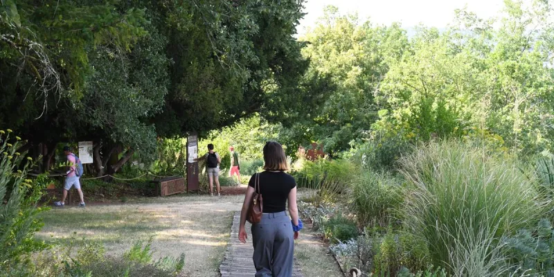 Limeuil Gardens: Fun Biodiversity Discovery