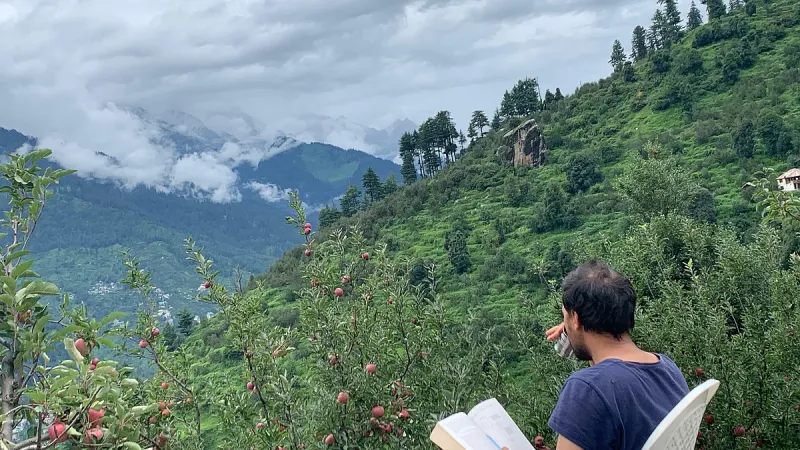 Lost In Woods: Himalayan Homestay for Slow Living