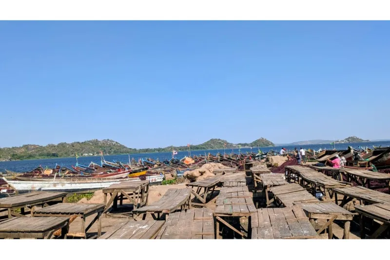 Lunar fishing ban boosts Lake Victoria dagaa catches