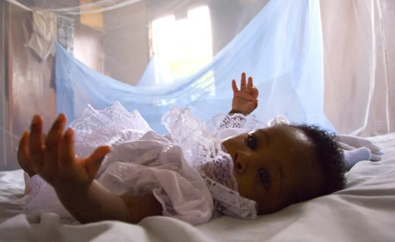 Malaria in Africa: Economic Toll and Prevention