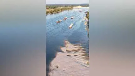 Mammoth Remains Found in Drought-Stricken Danube