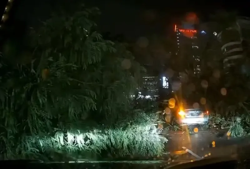 Man killed by falling tree on Jalan Tun Razak, KL
