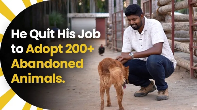 Man quits job to run shelter for 200+ rescued animals