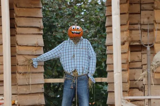 Martin Parr's final photos of scarecrows and prize veg exhibited in Wiltshire