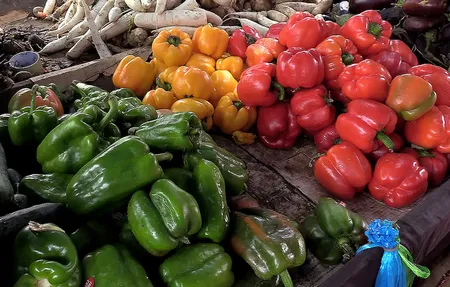Pluies en Mauritanie : légumes ailleurs, prix en hausse à Nouakchott