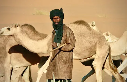 Le député Balla Touré plaide pour un dialogue national en Mauritanie
