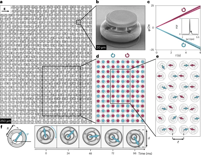 Micromotor arrays show wave propagation without predefined order