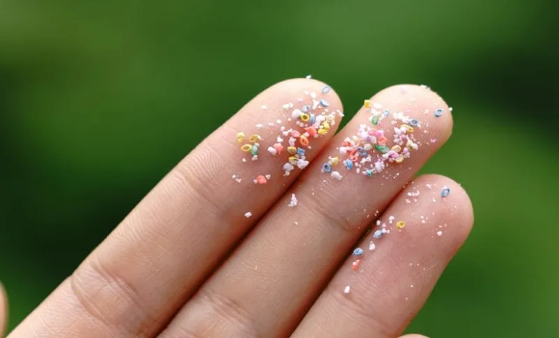 Microplastics Found in Liver Tumors May Affect Radiotherapy