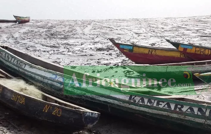 Migrant Tragedy: 44 Guineans Rescued Off Morocco Coast