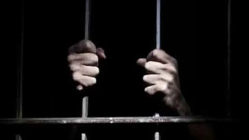 Minor Among Two Arrested Under Pocso Act in Thanjavur