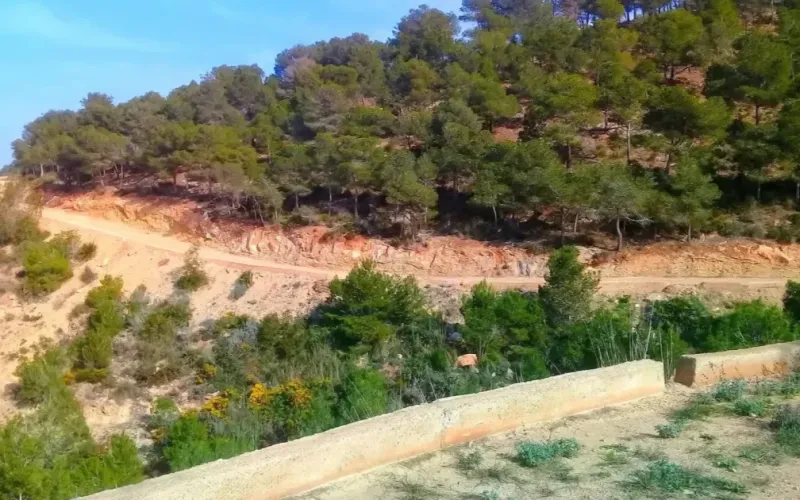 Minor Earthquake Hits Northern Morocco