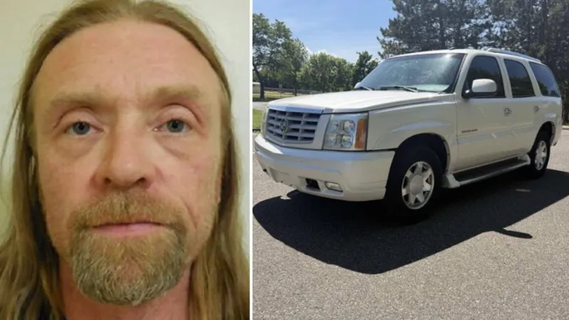 Missing man's burned vehicle found on remote B.C. road