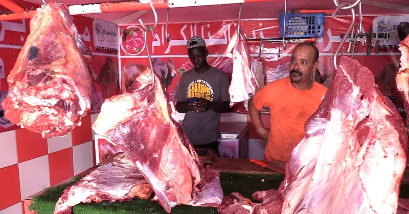 Moroccan Butcher Wins Hearts in Nouakchott