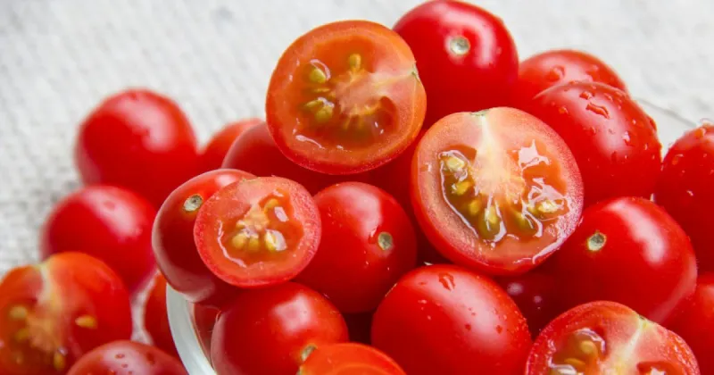 Moroccan cherry tomatoes spark unfair competition row in France