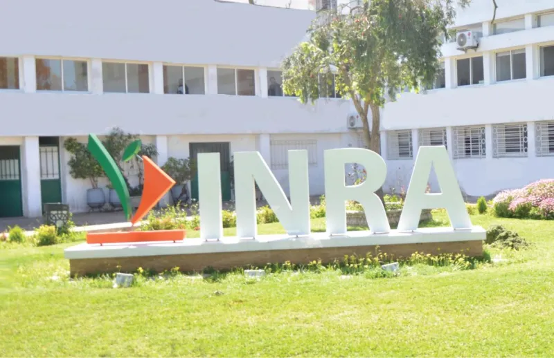 Moroccan Research and Conservation Groups Partner at SIAM 2026