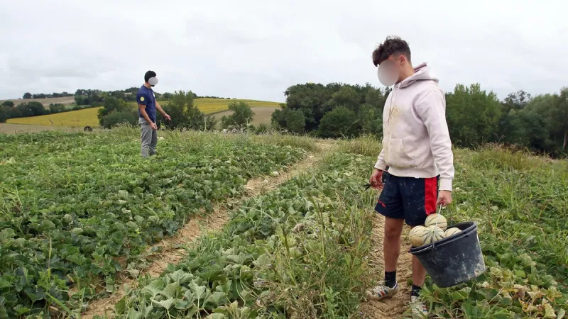 Moroccan Seasonal Workers: €800K Fraud Trial Set for May 19