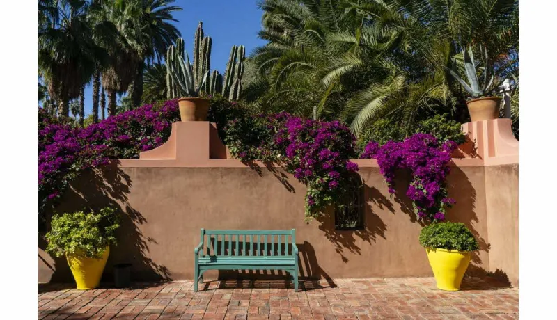 Morocco: €600 Trip Scam Leaves Two Friends Robbed in Marrakech