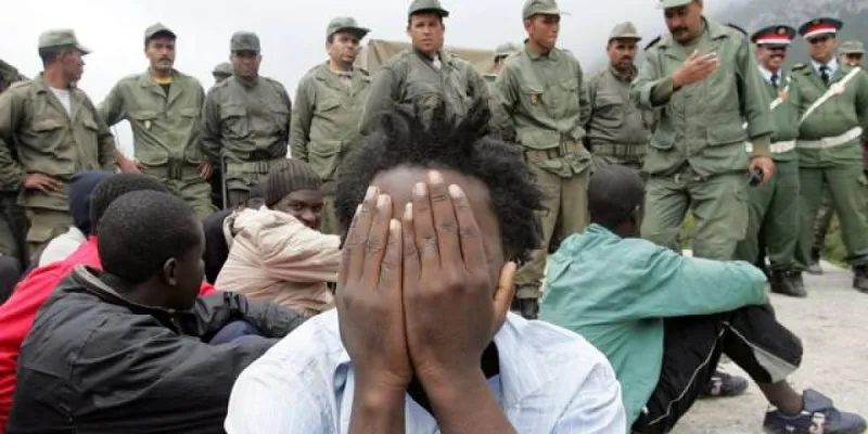 Morocco Arrests Over 800 Migrants in Northern Crackdown