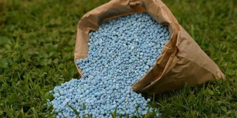 Morocco boosts fertilizer exports to Brazil amid Gulf tensions