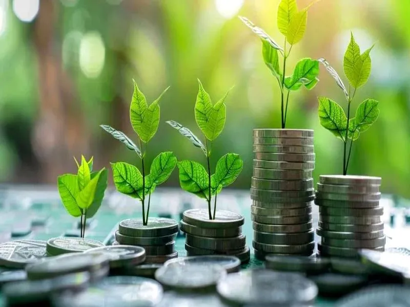 Morocco Builds Framework for Decarbonized Economy