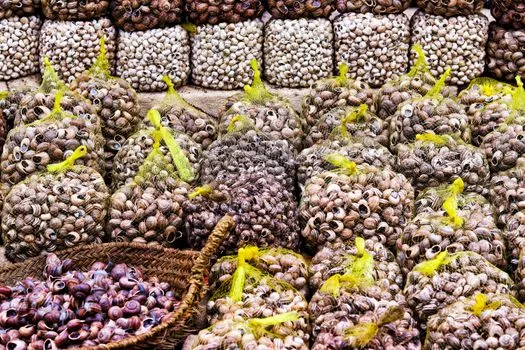 eTrade.ma : le Maroc lance une plateforme pour booster les exportations
