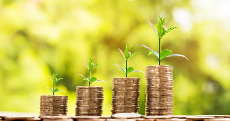 Morocco Launches Public Consultation on Green Finance Taxonomy