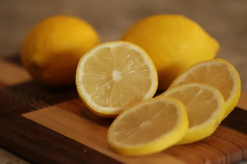 Morocco Lemon Exports Surge, Russia Top Buyer
