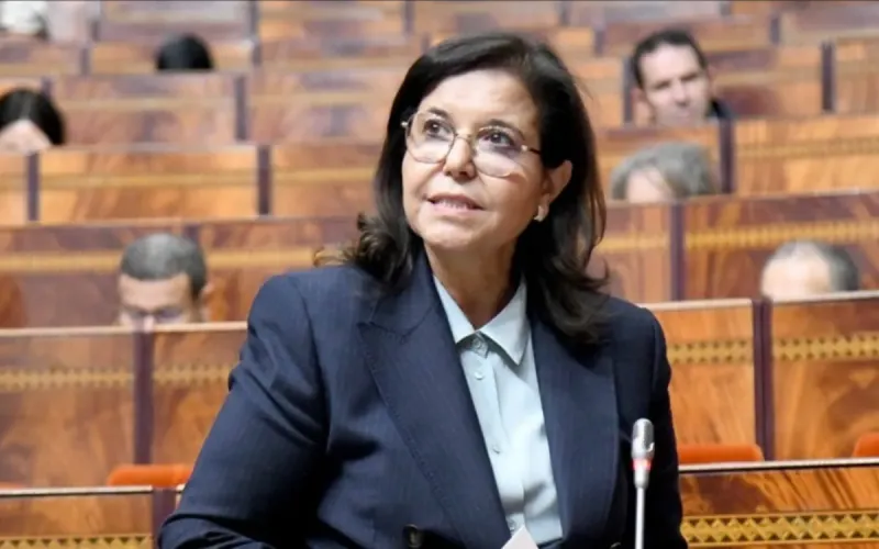 Morocco Minister Driouich Accused of Firing Driver Over Complaint