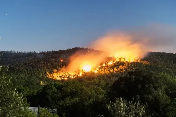 Morocco: More Forest Fires, Less Area Burned in 2026