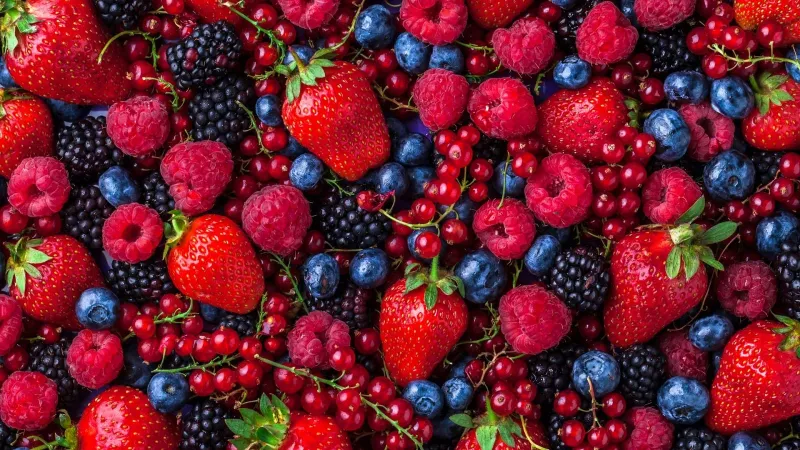 Morocco Now Top Berry Supplier to Norway