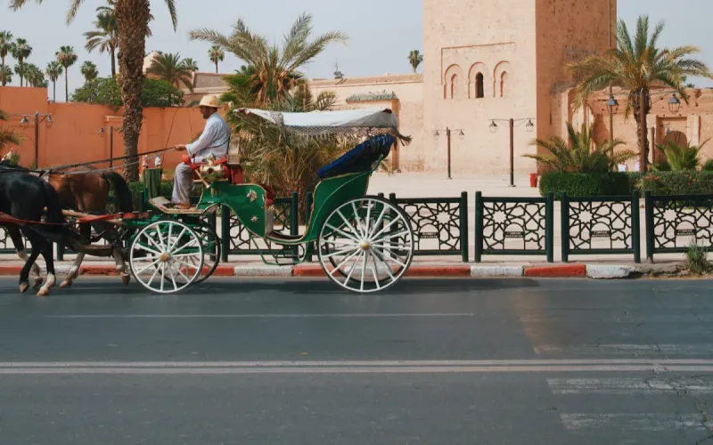 Morocco Plans to Replace Asphalt to Cool Cities