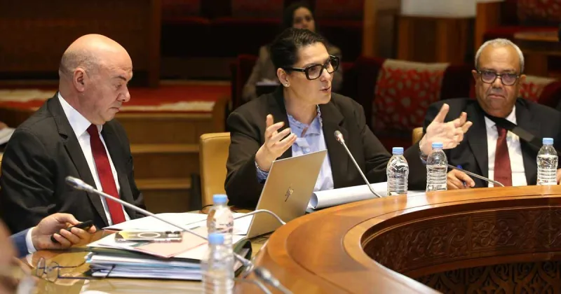 Morocco Proposes Law to Reform Urban Subdivisions