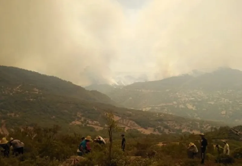 Morocco Reports 310 Wildfires in 2026, Up 32% from Decade Average