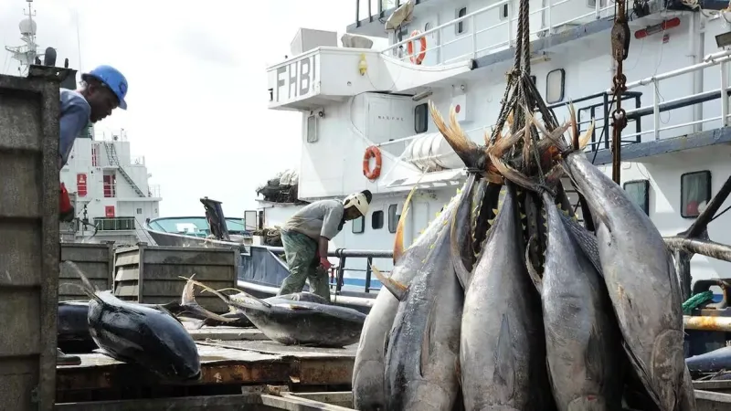 Morocco-Russia Approve Fisheries Cooperation Agreement