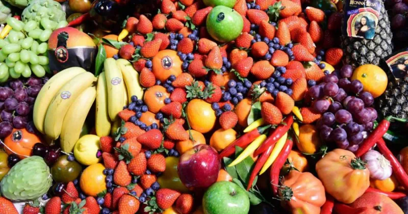 Morocco tops Spain's fresh fruit and veg imports in early 2026
