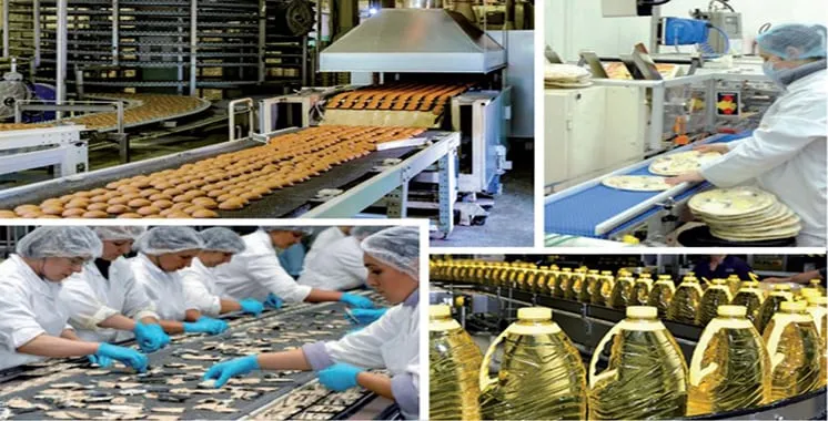 Morocco's Agri-Food Sector Faces Quality Upgrade Challenge