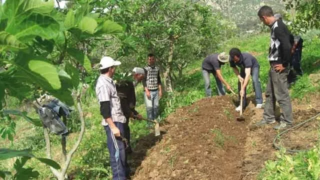 Morocco's Agriculture Shows Strong Recovery in 2026