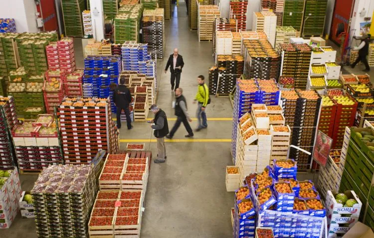 Morocco's Agrifood Exports Reach 86.2 Billion MAD in 2025