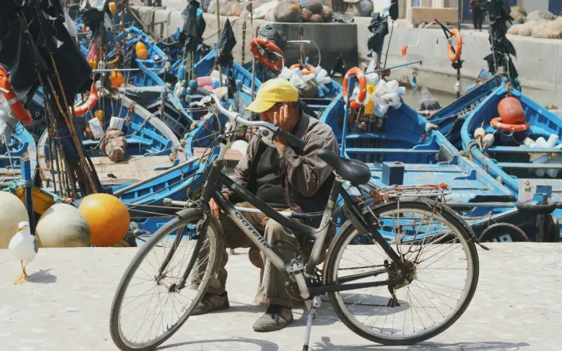 Morocco's Aquaculture Potential: $2B and 75,000 Jobs