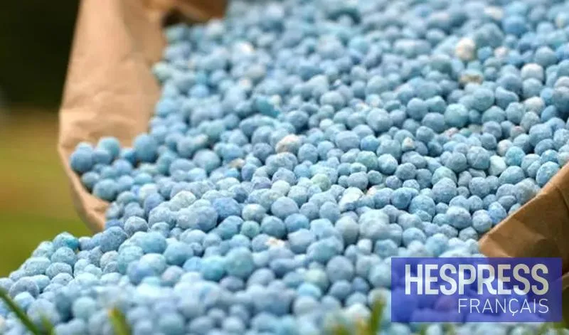 Morocco's Fertilizer Exports to Europe Surge Amid Geopolitical Shifts