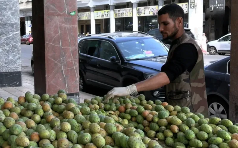 Morocco's Prickly Pear Becomes Luxury Good