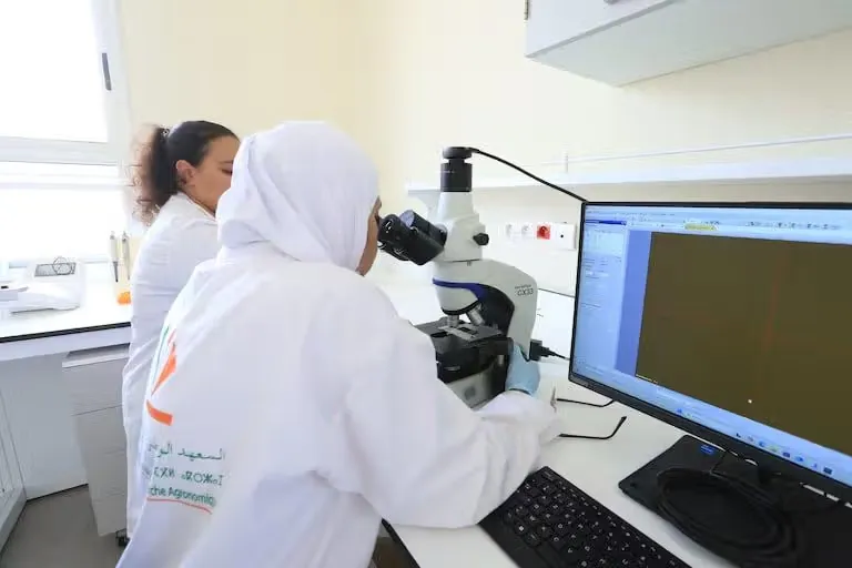 Morocco's PRIMA Research Program: €28M Invested