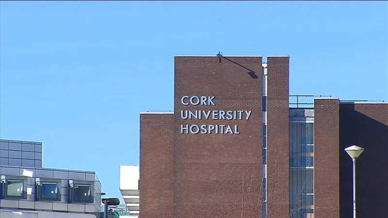 Motorcyclist dies in Cork collision