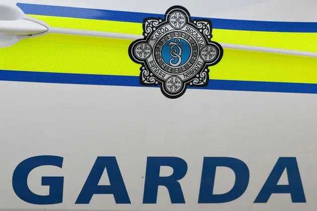 Motorcyclist dies in single-vehicle crash in Co Wexford