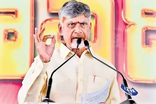 Naidu Urges TD Cadre to Counter Misinformation
