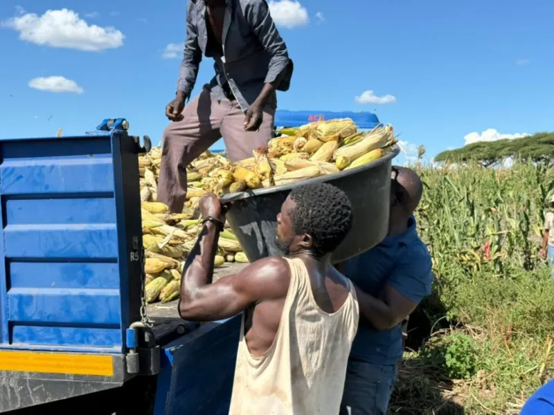 Namibia relocates 57.5 tonnes of flood-affected crops