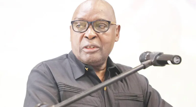 Namibian CEO Alleges Minister Forced His Suspension