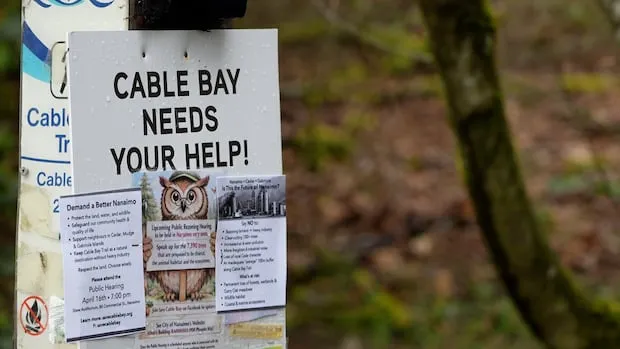 Nanaimo's Cable Bay rezoning heads to hearing