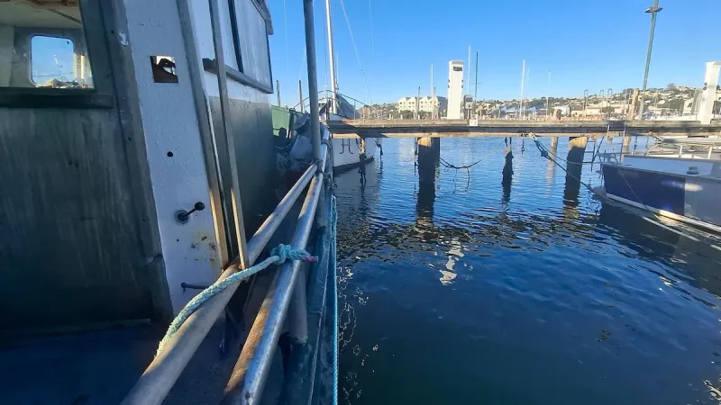 Napier Council Seizes Boat Home, Fisherman Says Man Lost 'Sanctuary'